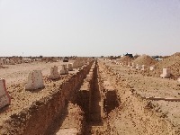 طويل المدى's الصورة الرمزية