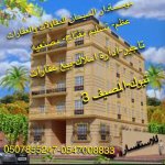 مستثمر55's الصورة الرمزية