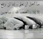 ابراهيم الشعلان's الصورة الرمزية