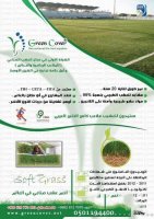 دينة عبدالرحمن's الصورة الرمزية