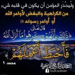 احمد ابن النجدى's الصورة الرمزية