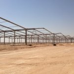 روابي للمضلات والسواتر's الصورة الرمزية