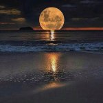 مصنع التشغيل المحترف's الصورة الرمزية