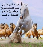 عاصفة الحزم's الصورة الرمزية