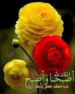 Abobasma's الصورة الرمزية