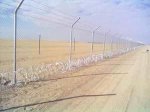 عبدالرقيب الحميري's الصورة الرمزية