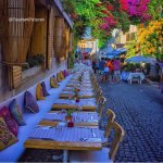 DesertStar's الصورة الرمزية