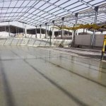 ابو محمد نصر's الصورة الرمزية