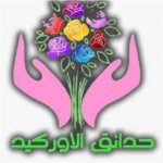 Sultan123's الصورة الرمزية