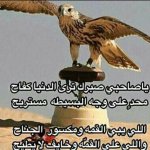 nasser-alqahtani's الصورة الرمزية