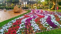 Hmg1405's الصورة الرمزية
