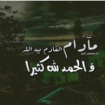 civil's الصورة الرمزية