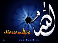 ahmedelkorde's الصورة الرمزية