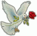 haitham83's الصورة الرمزية