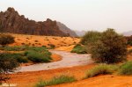 البرفسر's الصورة الرمزية