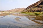 ابوعبدالله العمري's الصورة الرمزية