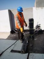 عوازل الجودة's الصورة الرمزية