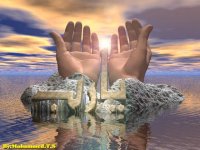 ماجد إدريس's الصورة الرمزية