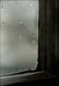 MsHaRy's الصورة الرمزية