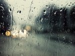 مريم العامر's الصورة الرمزية