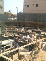 sparrow201's الصورة الرمزية