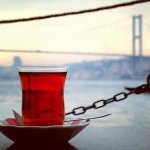 abo zyad's الصورة الرمزية