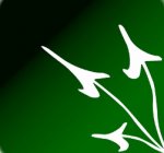 Alhayah's الصورة الرمزية