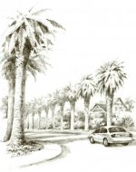 محمد الحويطي's الصورة الرمزية