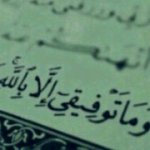 عقاركم's الصورة الرمزية