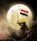 Tarekbic10's الصورة الرمزية