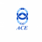 ACE2017