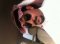 Khaled056340