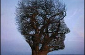 تطوير الذات