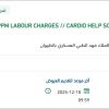 توريد PPM LABOUR CHARGES