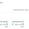 تأمين مولد الطاقة الاحتياطي (UPS)