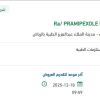 توريد PRAMIPEXOLE DIHYDROCHLORIDE 1MG