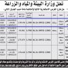 استثمار منتزه التلال الوطني بمحافظة بلجرشي