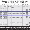استثمار برج مياه الجوف بمدينة سكاكا