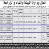 استزراع الطحالب المجهرية بهدي الشام بمحافظة الجموم