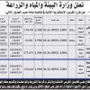 تربية المواشي المنتجة للحليب بمركز المظيليف