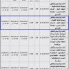 إنشاء وترميم وتشغيل وصيانة نشاط النقليات