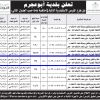 إنشاء وتشغيل وصيانة مبنى تجاري متعدد الاستخدام