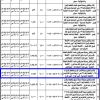 انشاء وتشغيل وصيانة قصر افراح