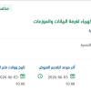 تطوير وصيانة البنية التحتية لخطوط الكهرباء
