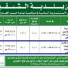 انشاء و تشغيل وصيانة محلات تجارية بليفارد
