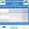 إنشاء وتشغيل وصيانة عام