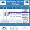 إنشاء وتشغيل وصيانة عام