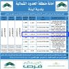إنشاء وتشغيل وصيانة عام