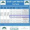 إنشاء وتشغيل وصيانة عام