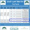 إنشاء وتشغيل وصيانة قصر أفراح